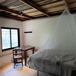 Chez Gigi - Eco , Mahahual México